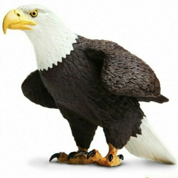 Figurina - Bald Eagle | Safari - 2 | YEO