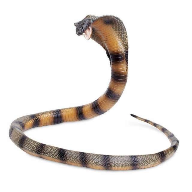 Figurina - Cobra Snake | Safari - 1 | YEO