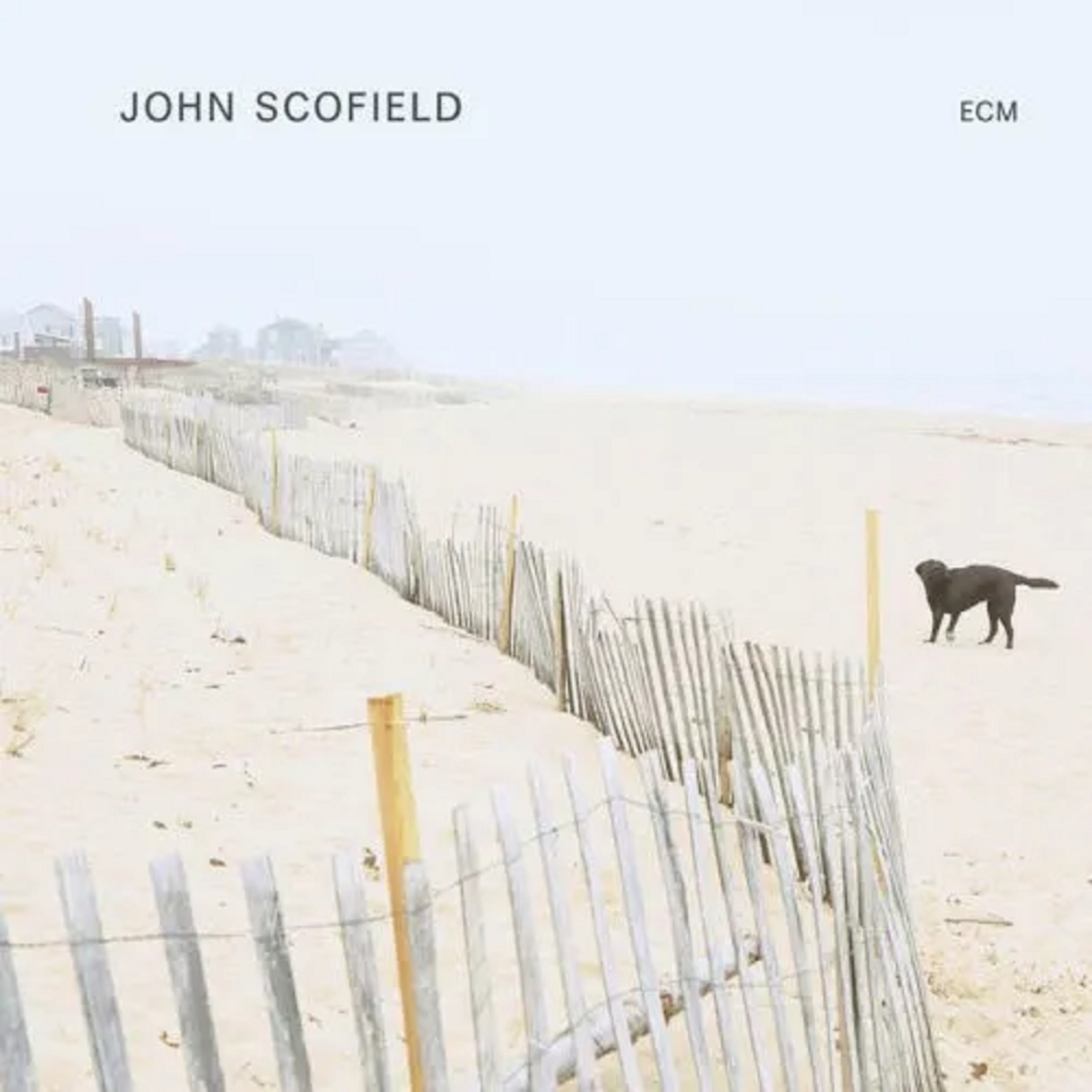 John Scofield - Vinyl | John Scofield