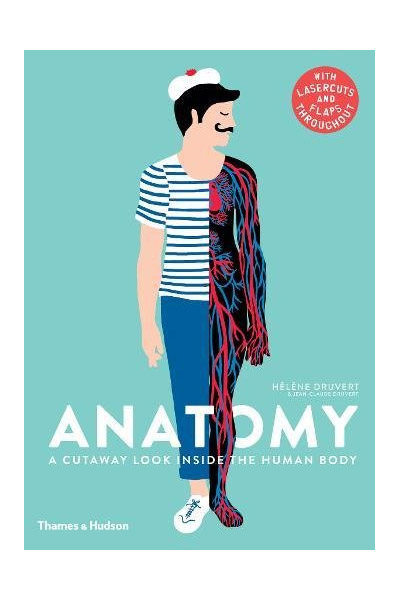 Anatomy - A Cutaway Look Inside the Human Body | Helene Druvert, Jean-Claude Druvert