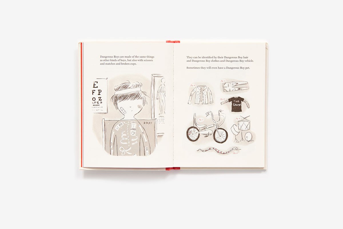 Boys - An Illustrated Field Guide | Heather Ross - 2 | YEO