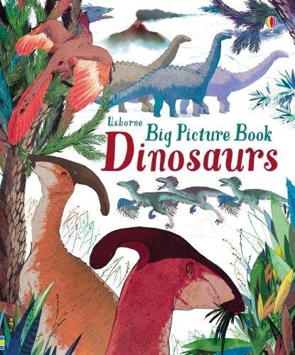 Big Picture Book Dinosaurs | Laura Cowan