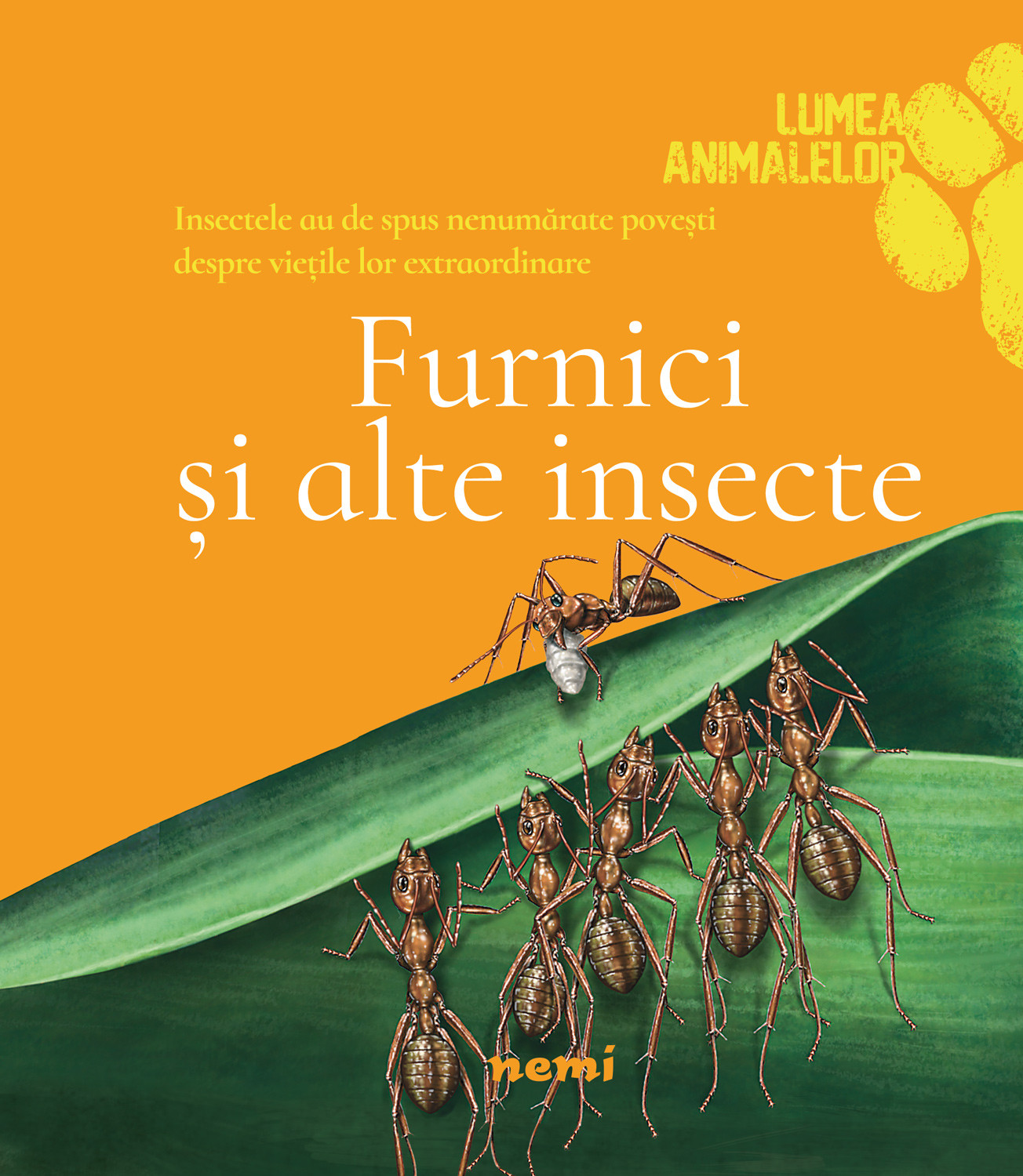 Furnici si alte insecte | Olivia Brookes