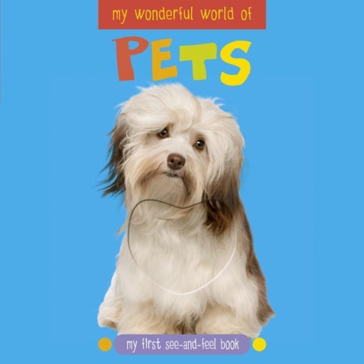 My Wonderful World of Pets | Katie Cotton