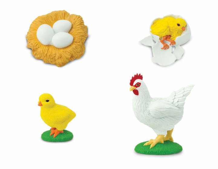 Set 4 figurine - Ciclul vietii la pui | Safari - 1 | YEO