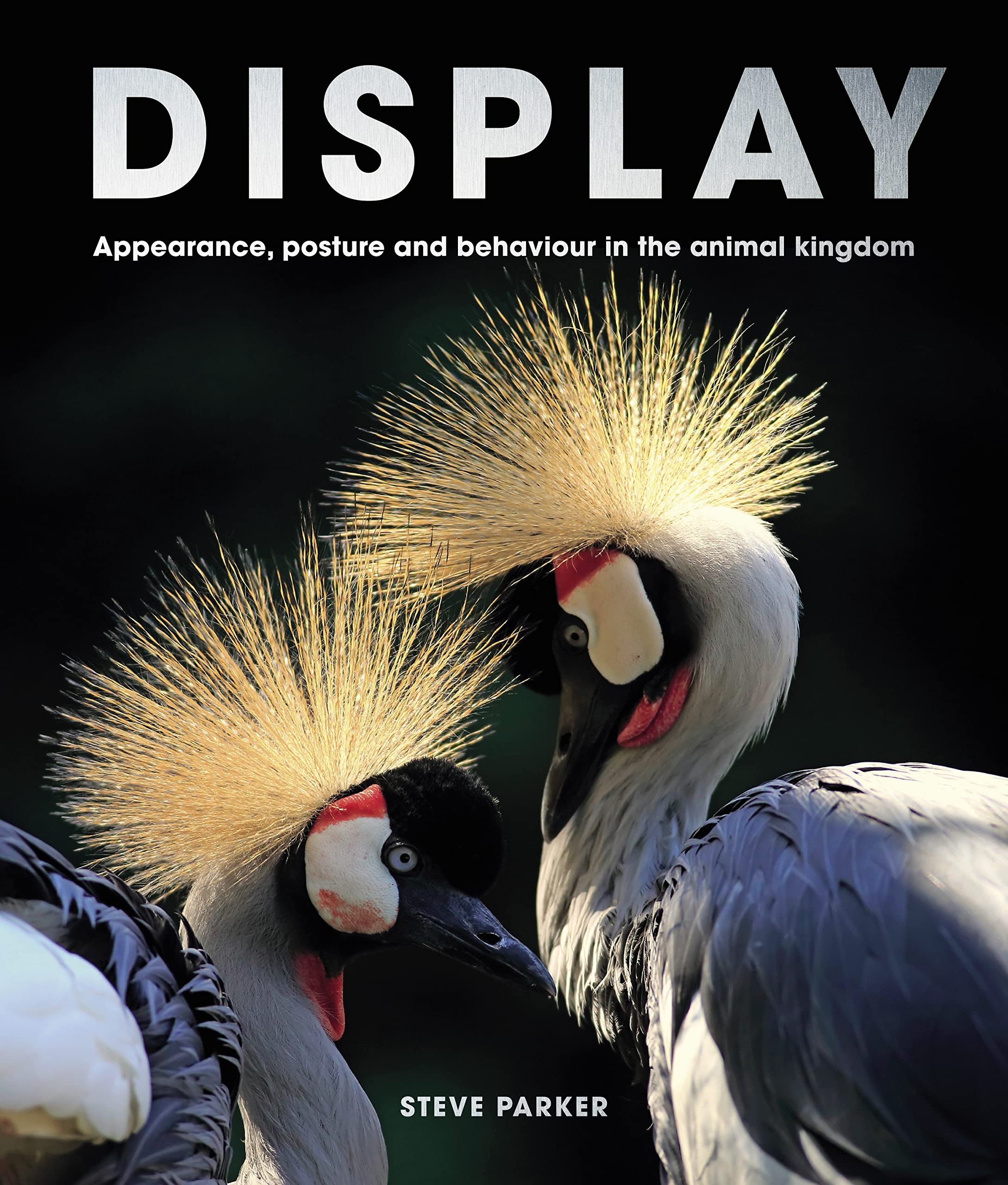 Display: Appearance, posture and behaviour in the animal kingdom | Steve Parker