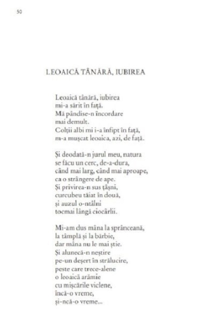 Poeme de dragoste | Nichita Stanescu