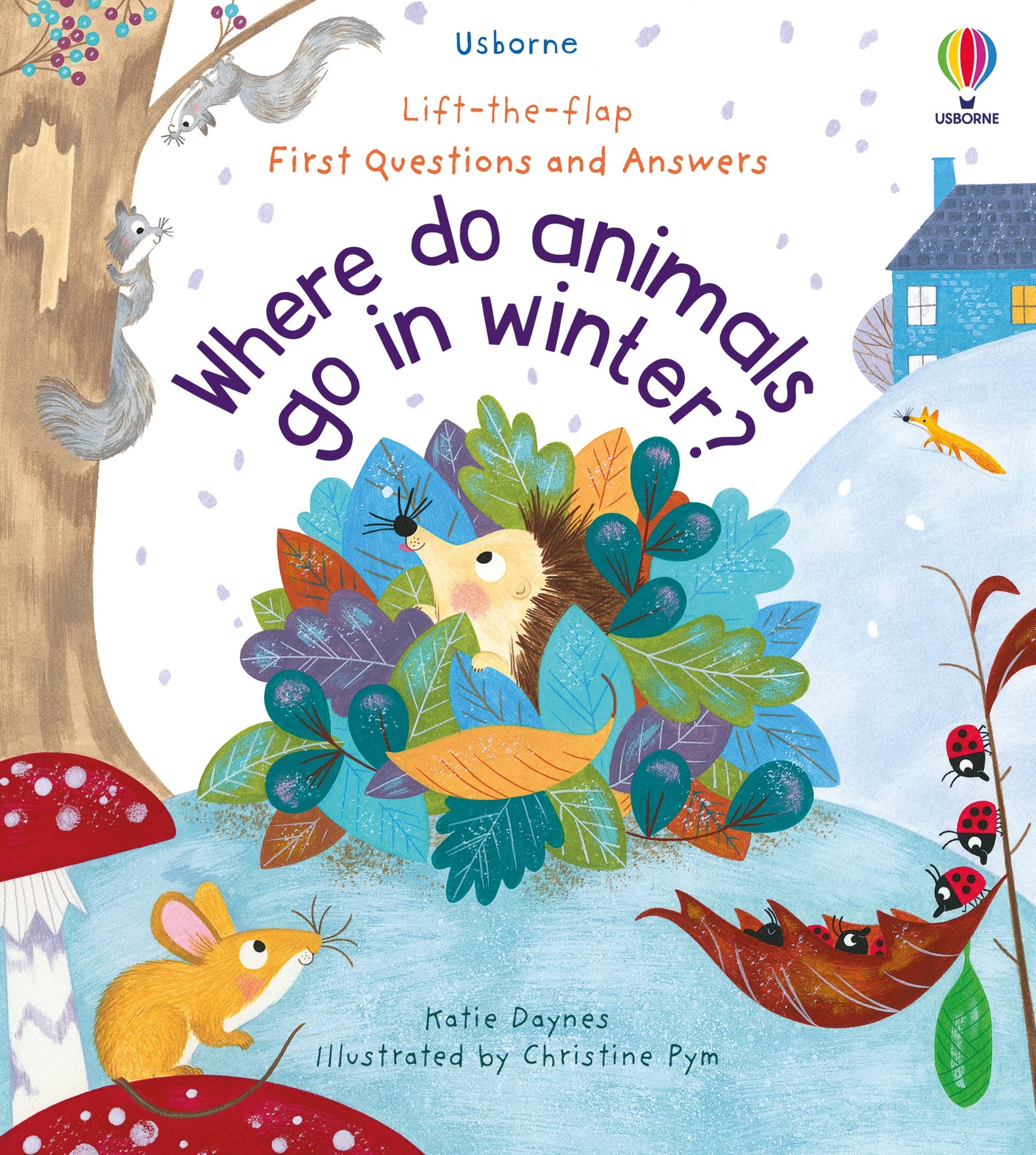 Where Do Animals Go in Winter? | Katie Daynes