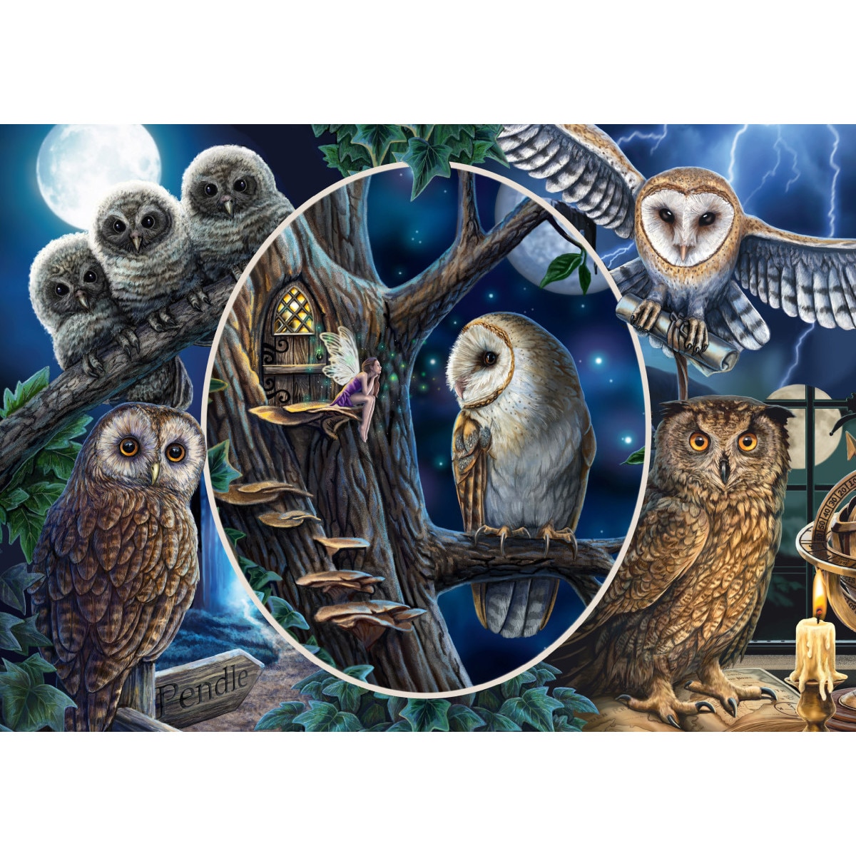 Puzzle 1000 piese - Lisa Parker - Mysterious Owls | Schmidt - 1