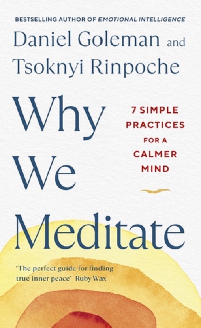 Why We Meditate | Daniel Goleman, Tsoknyi Rinpoche