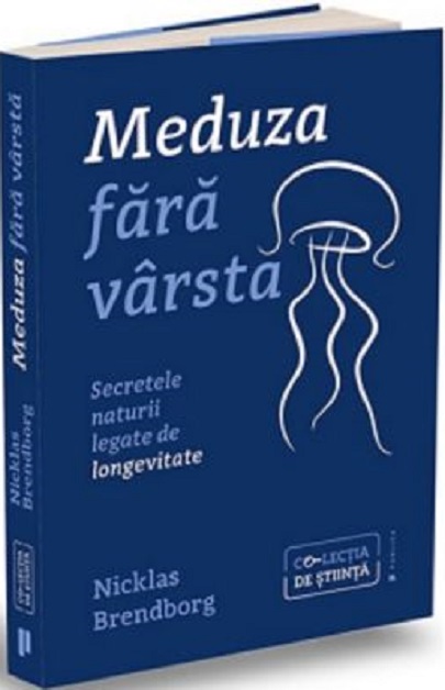 Meduza fara varsta | Nicklas Brendborg