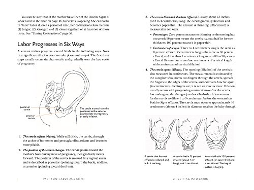 Birth Partner 5th Edition | Penny Simkin