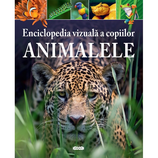 Enciclopedia vizuala a copiilor. Animalele | carturesti.ro Carte