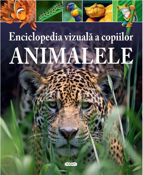 Enciclopedia vizuala a copiilor. Animalele | adolescenti