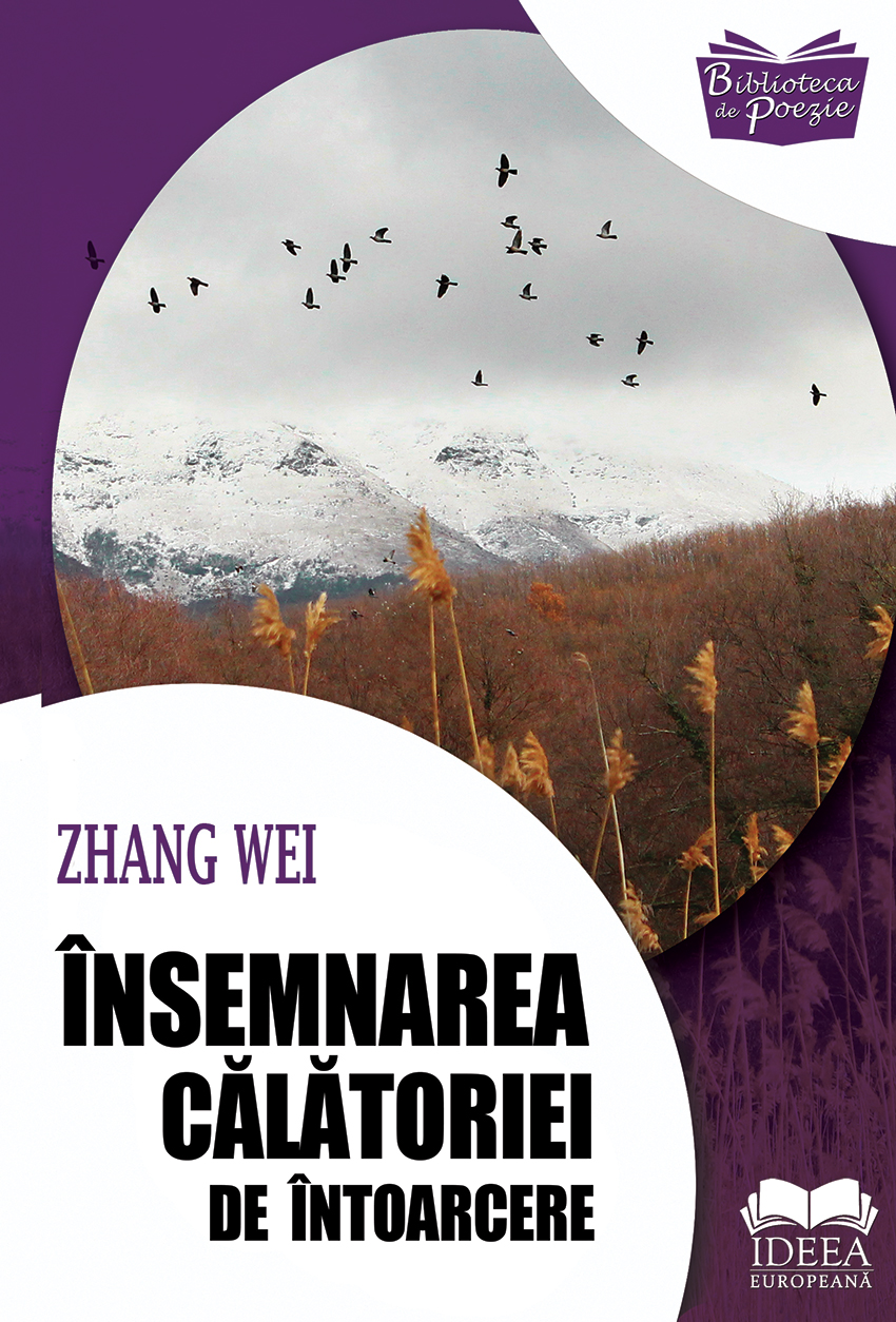 Insemnarea calatoriei de intoarcere | Zhang Wei