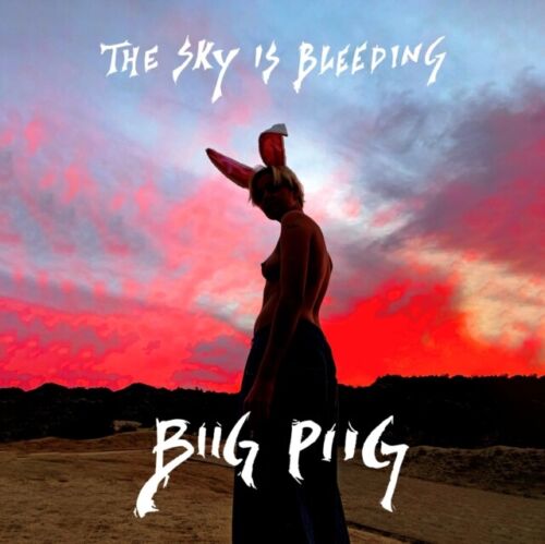 The Sky Is Bleeding - Vinyl | Biig Piig