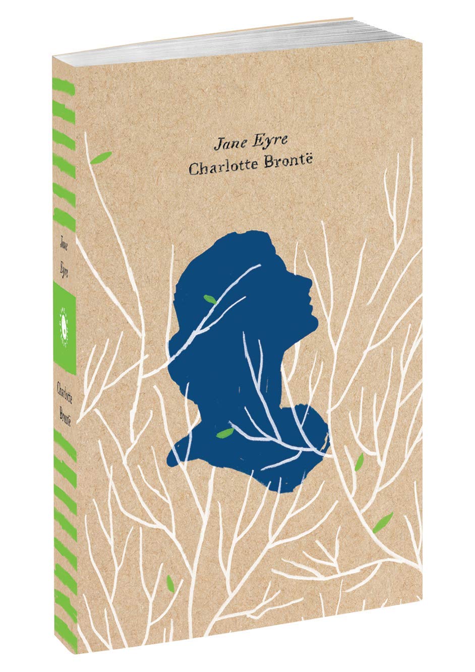 Jane Eyre | Charlotte Bronte  image0