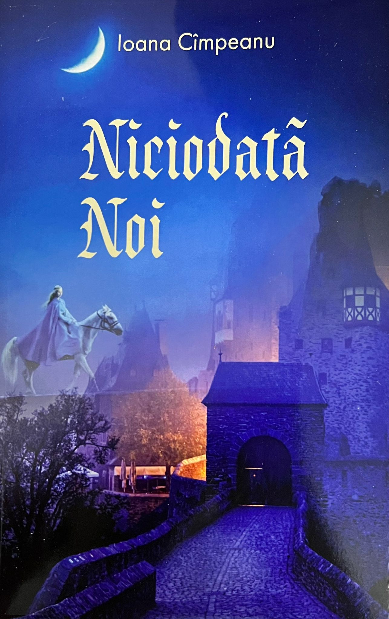 Niciodata noi | Ioana Cimpeanu