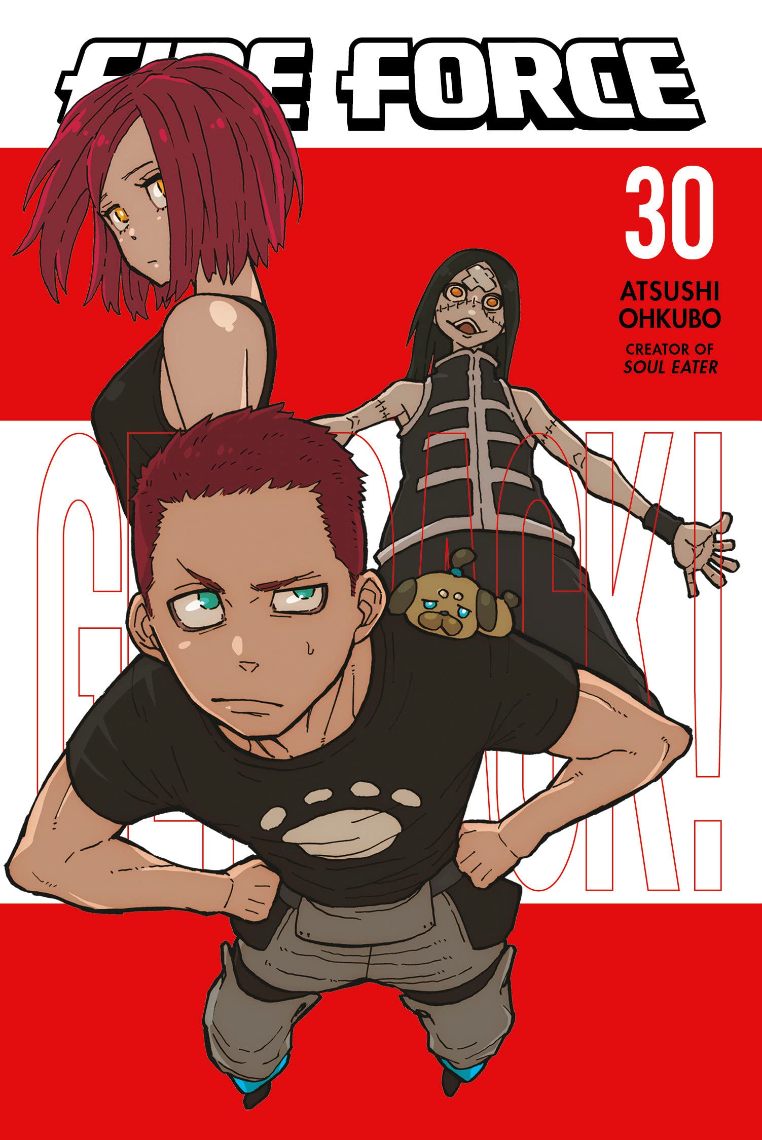 Fire Force - Volume 30 | Atsushi Ohkubo