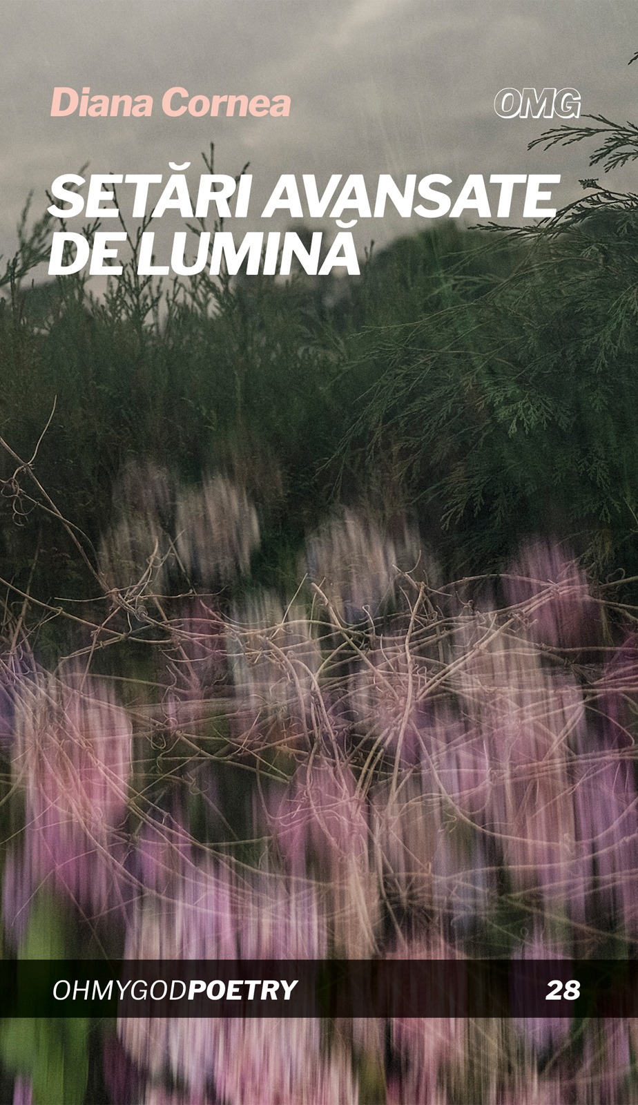 Setari avansate de lumina | Diana Cornea