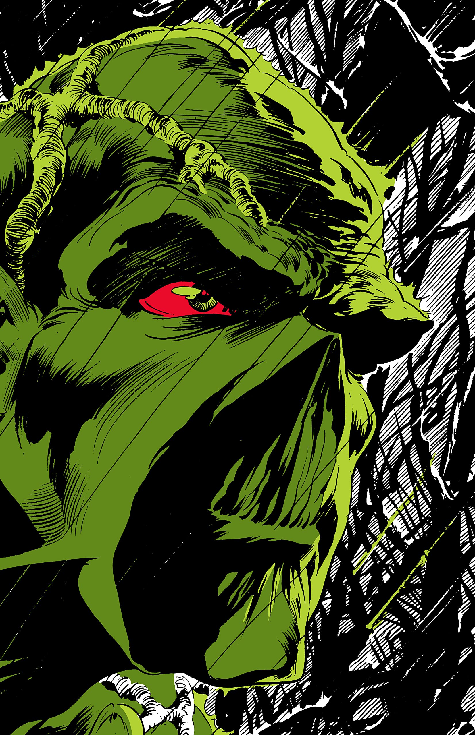 Absolute Swamp Thing | Len Wein, Bernie Wrightson