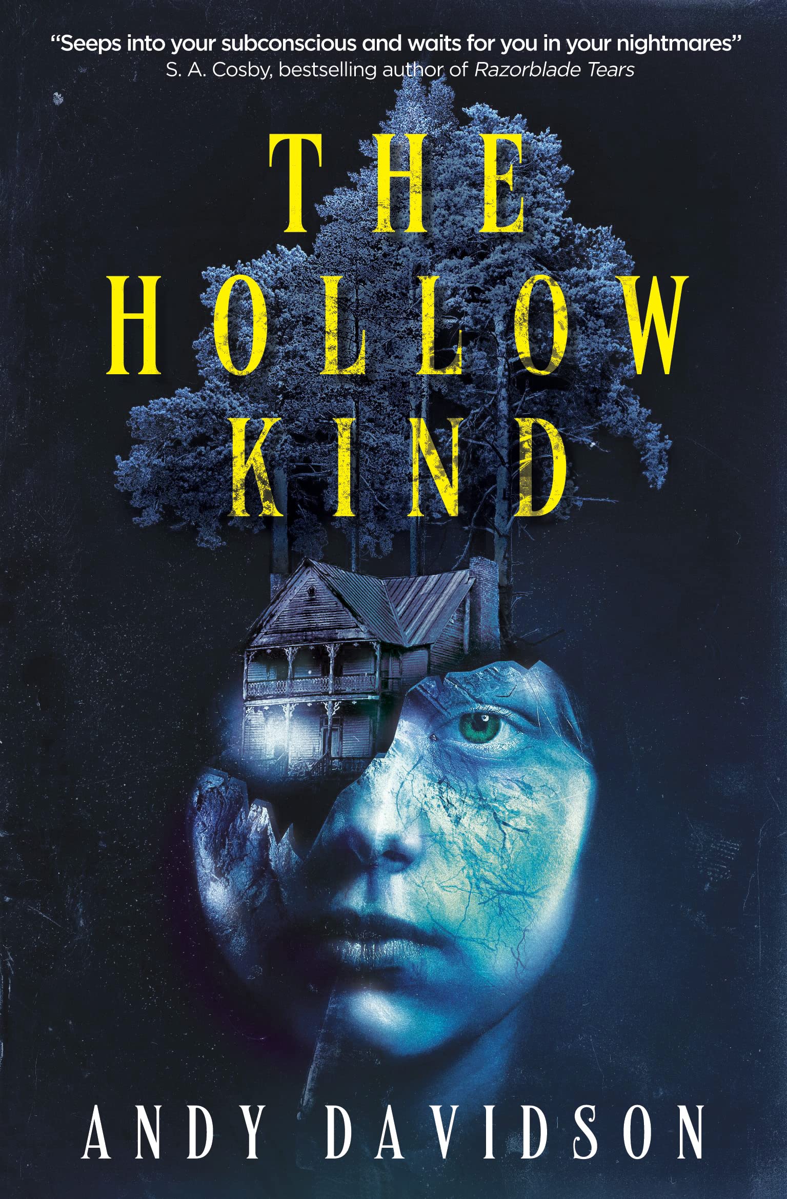 The Hollow Kind | Andy Davidson