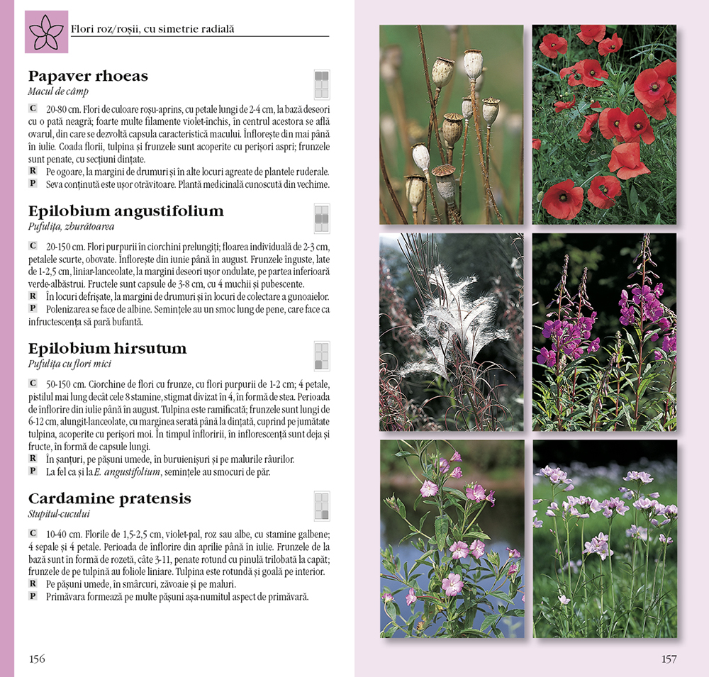 Determinator de plante și animale | Wilhelm Eisenreich, Alfred Handel, Ute E. Zimmer carturesti.ro imagine 2022