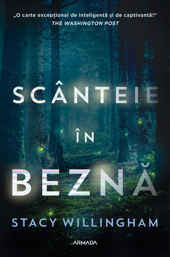 Scanteie in bezna | Stacy Willingham