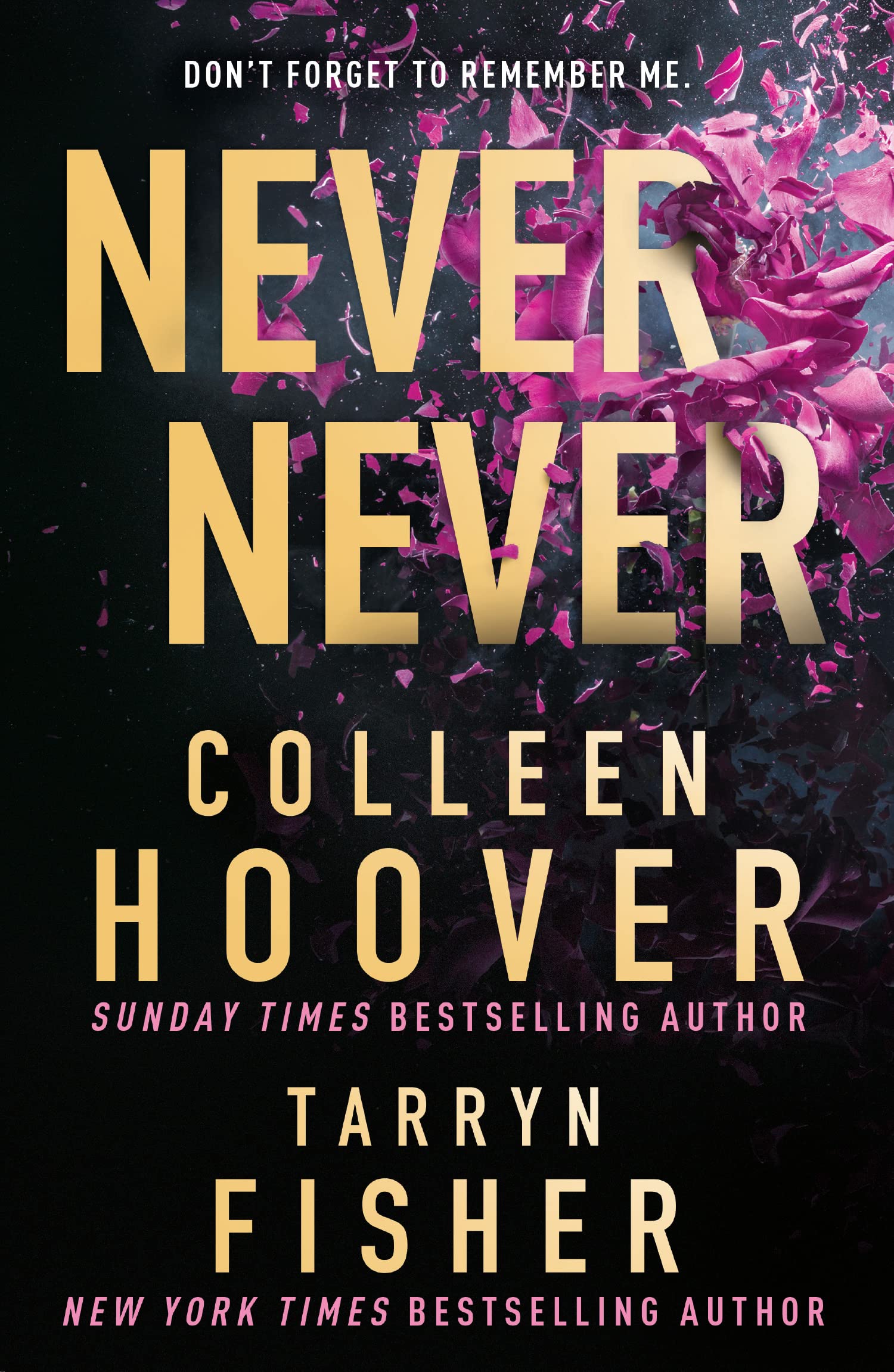 Never Never | Colleen Hoover, Tarryn Fisher