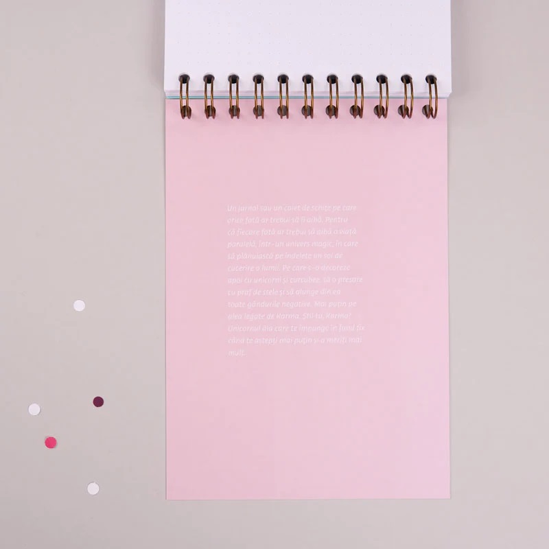 Notebook si caiet de schite pentru femei - Desene cu unicorni si planuri de razbunare | WonderStore