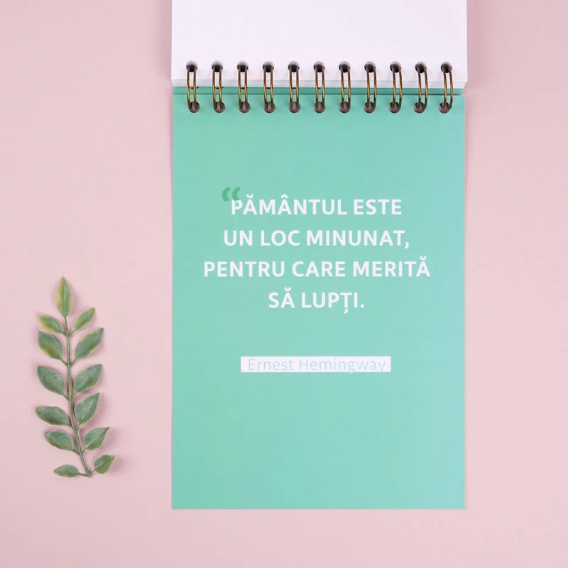 Notebook cadou pentru prieteni - Jurnal Chestii de facut pentru planeta | WonderStore - 2 | YEO