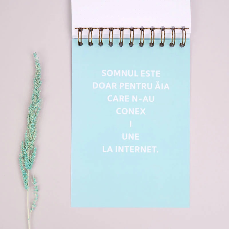 Notebook cadou pentru prieteni - Jurnal Idei adormite | WonderStore - 2 | YEO