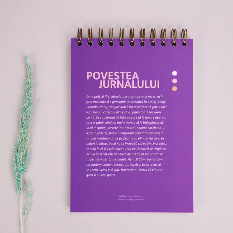 Notebook cadou pentru prieteni - Jurnal Secrete intunecate | WonderStore - 3 | YEO