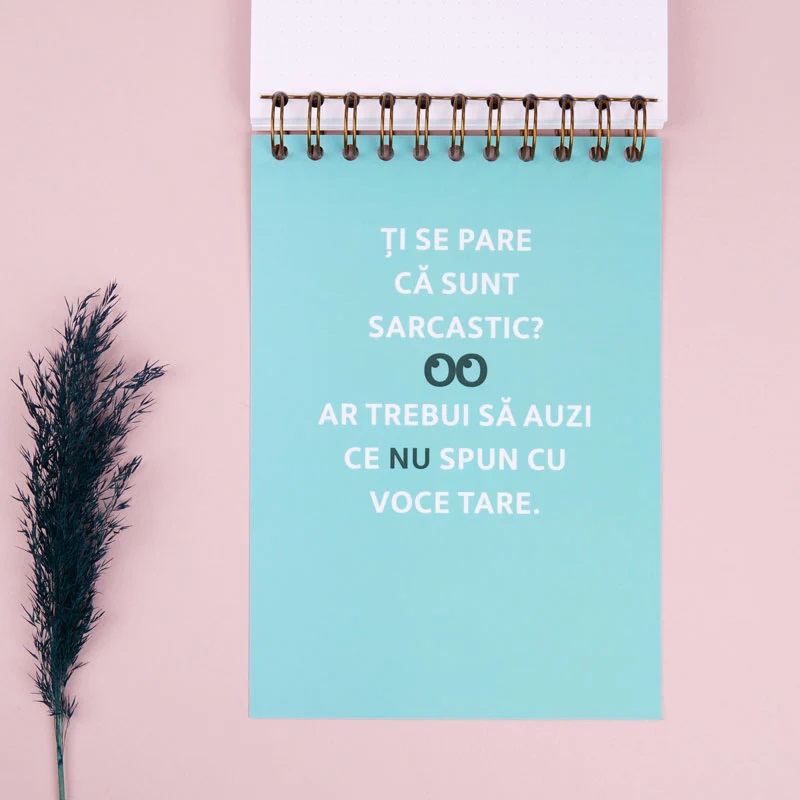 Notebook cadou pentru prieteni - Jurnal Chestii pe care ma abtin sa le spun | WonderStore - 2 | YEO