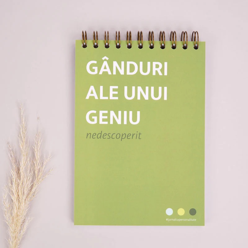 Notebook si caiet de mazgaleli cadou pentru colegi - Ganduri de geniu | WonderStore