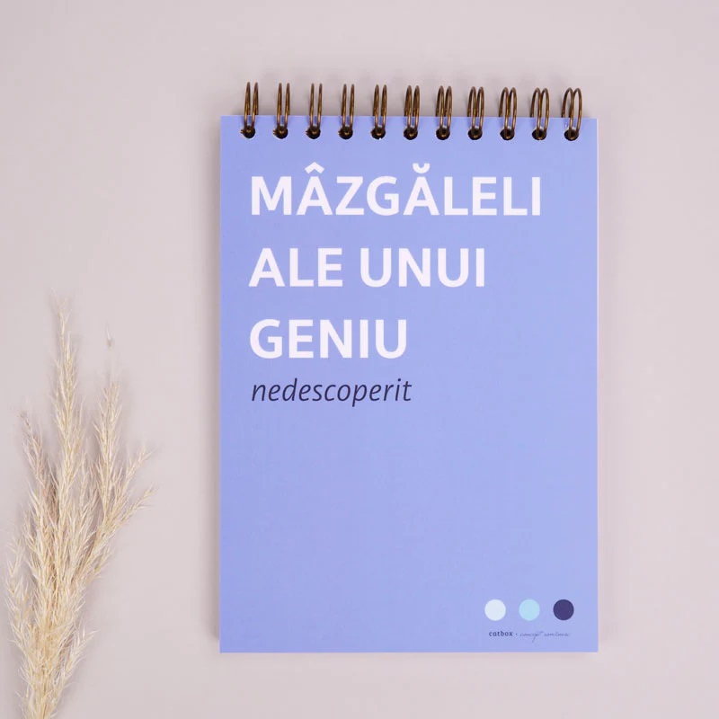 Notebook si caiet de mazgaleli cadou pentru colegi - Ganduri de geniu | WonderStore - 2 | YEO