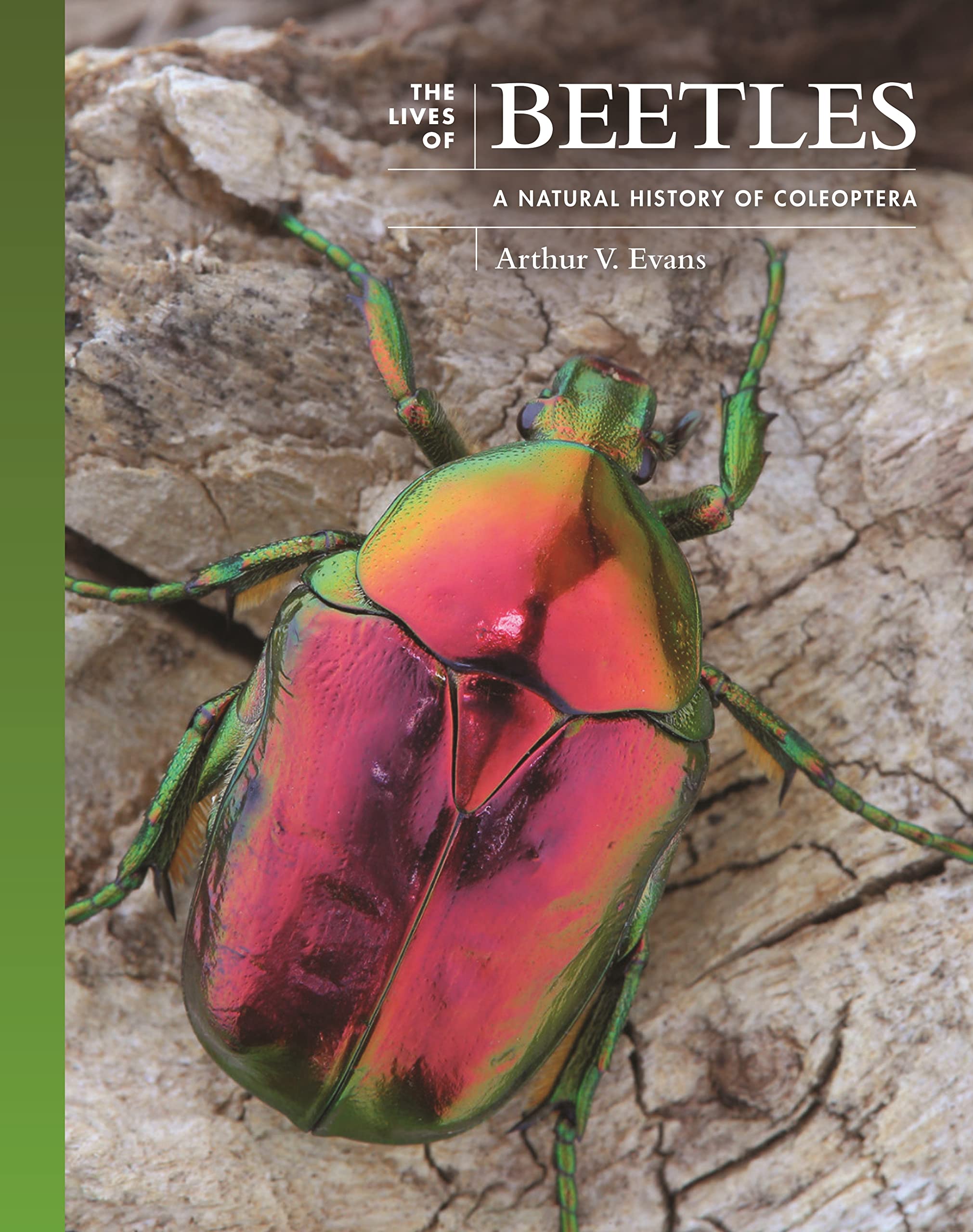 The Lives of Beetles | Arthur V. Evans