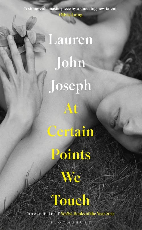 At Certain Points We Touch | Lauren John Joseph