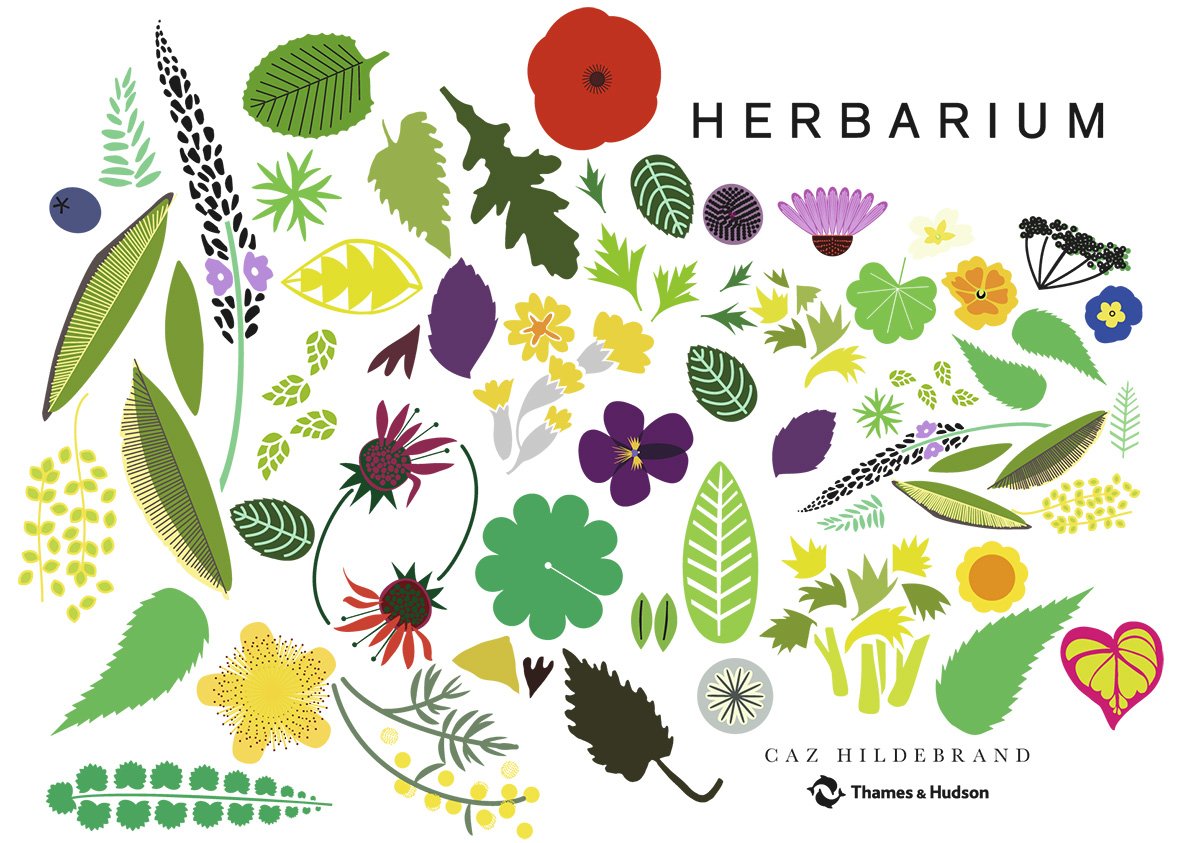 Herbarium | Caz Hildebrand