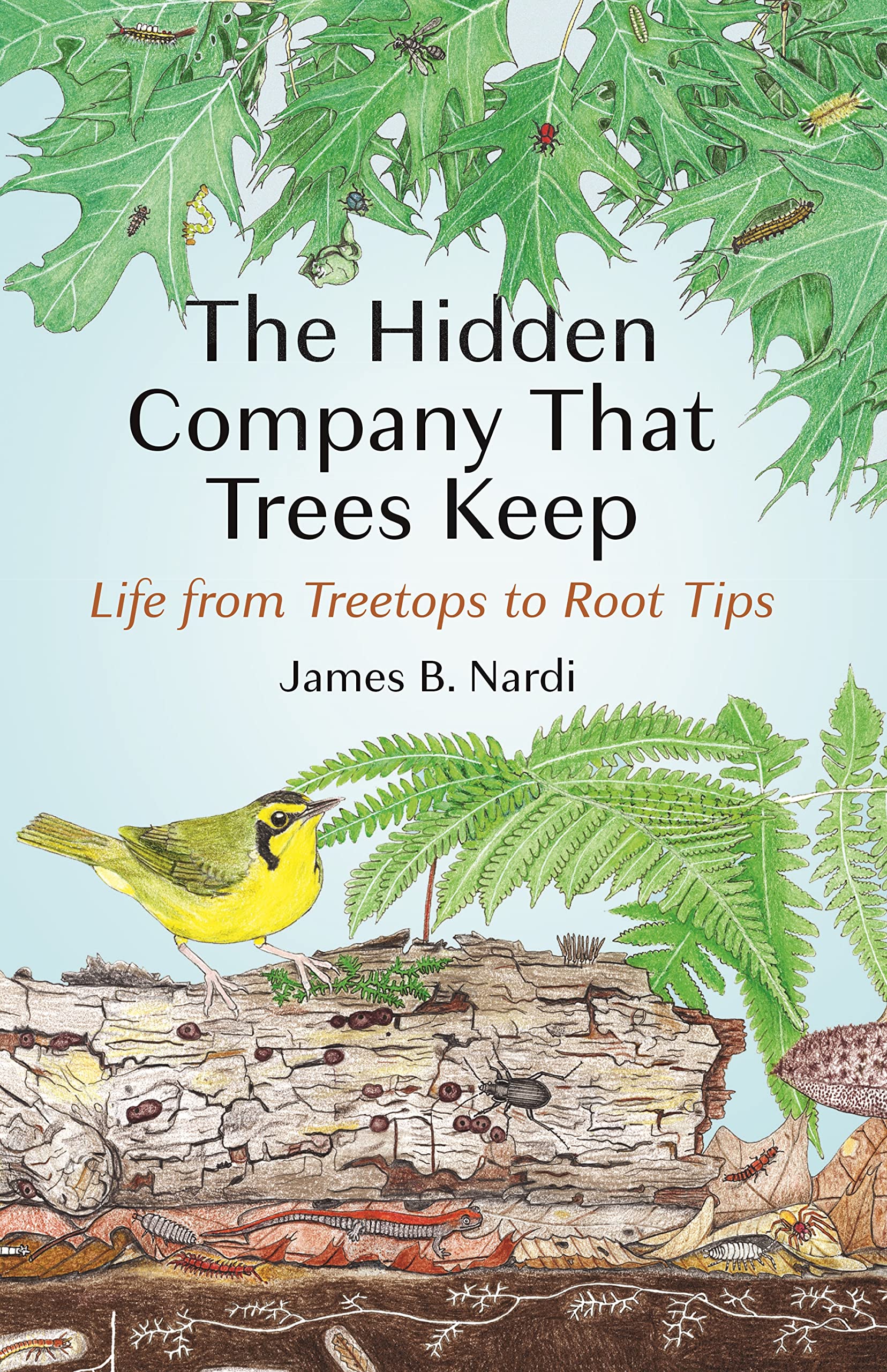 The Hidden Company That Trees Keep | James B. Nardi