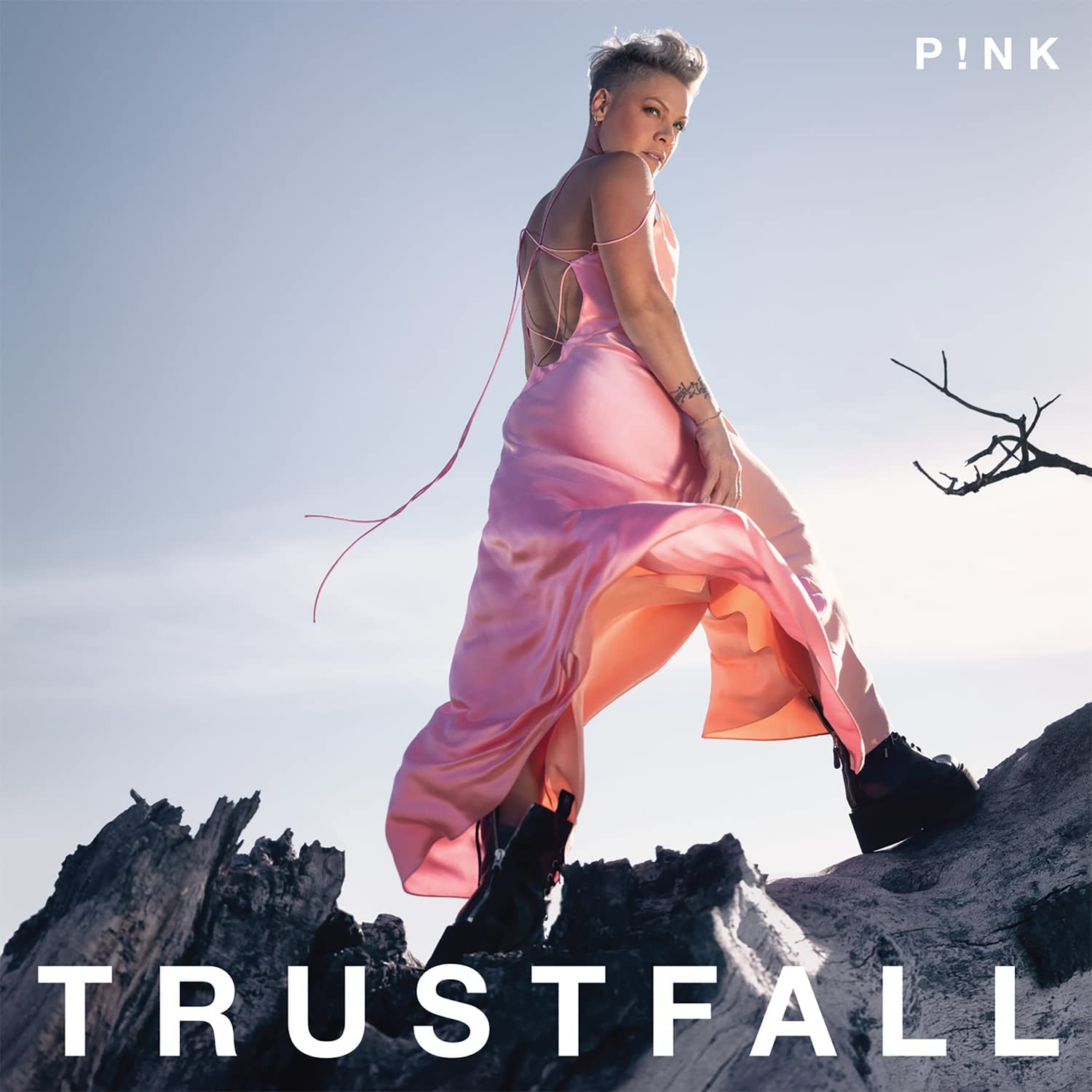 Trustfall | P!nk - 1 | YEO