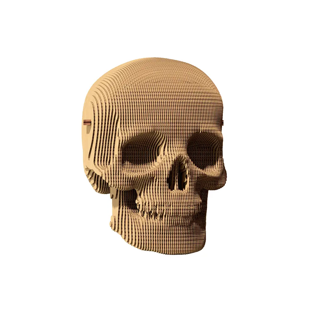 Puzzle 3D - Skull | Cartonic