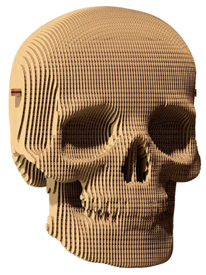 Puzzle 3D - Skull | Cartonic - 4 | YEO