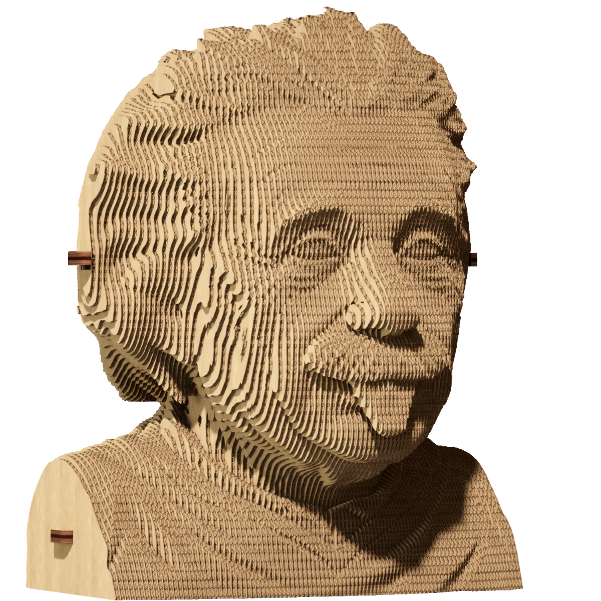  Puzzle 3D - Albert Einstein | Cartonic 