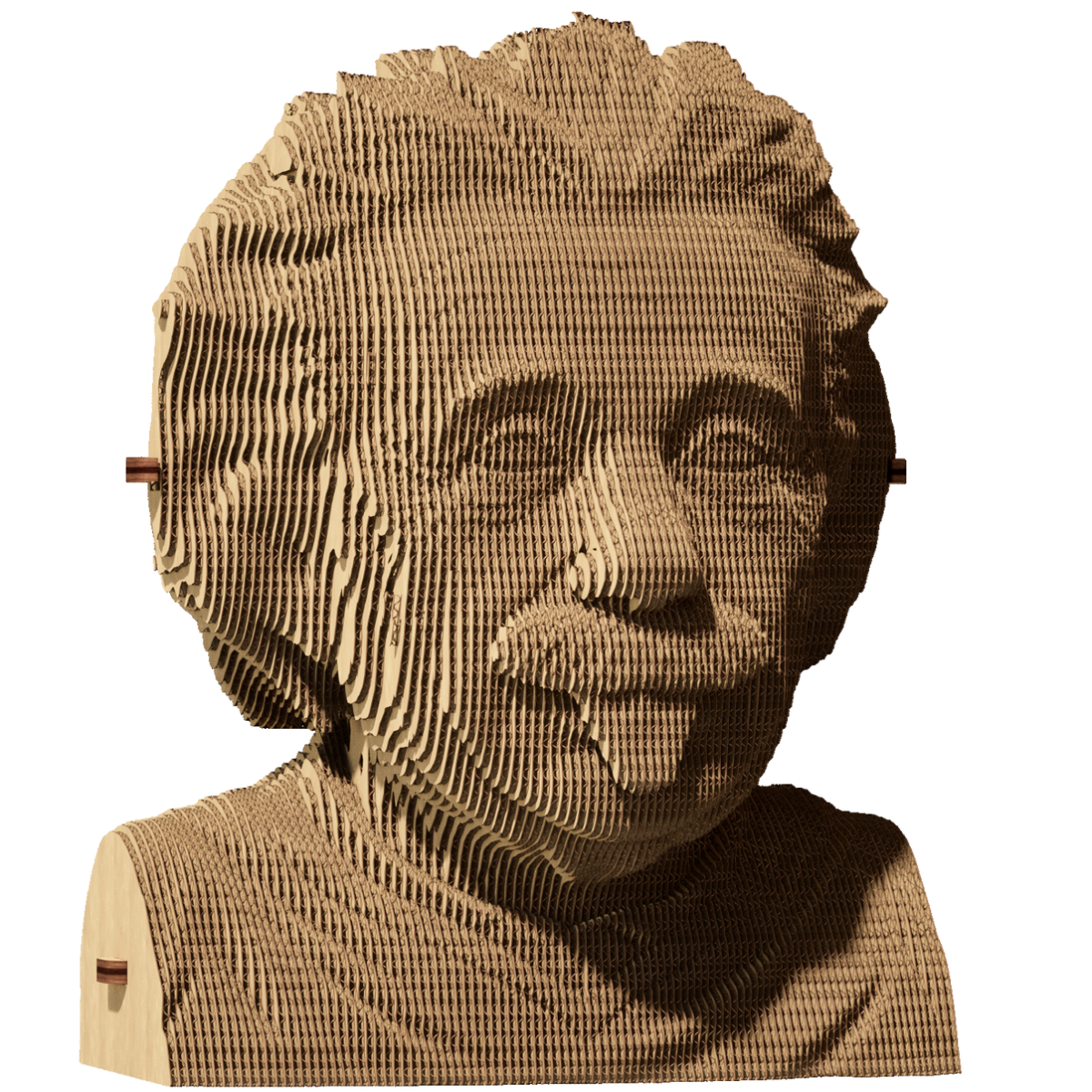 Puzzle 3D - Albert Einstein | Cartonic - 1