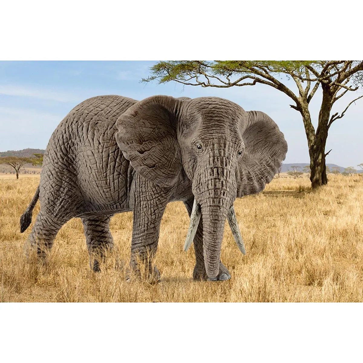 Figurina - Femela Elefant African | Schleich