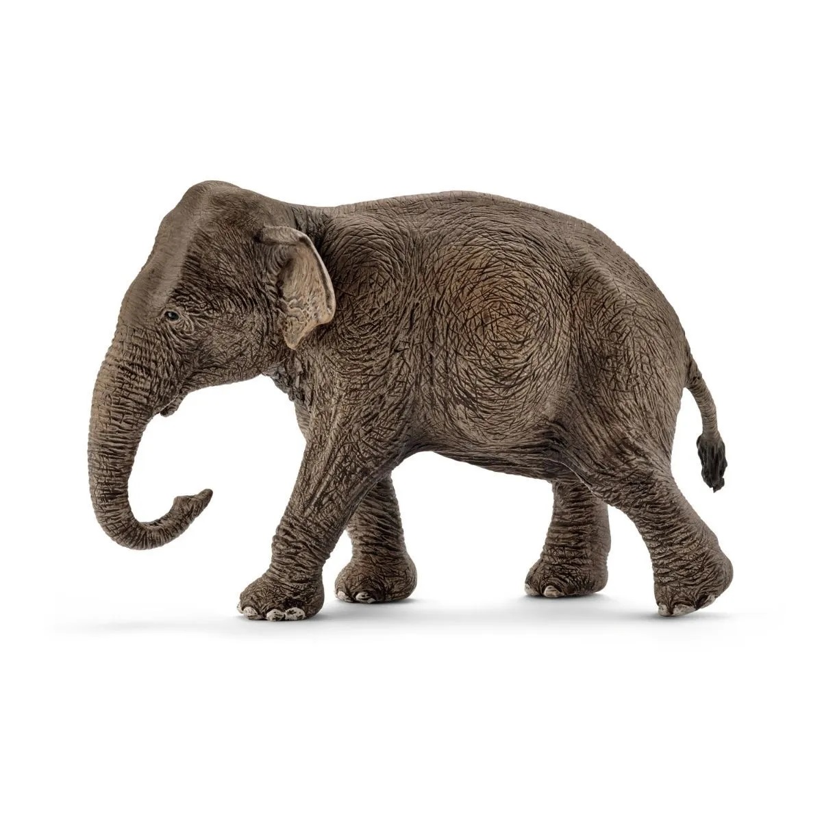 Figurina - Femela Elefant Asiatic | Schleich - 1 | YEO