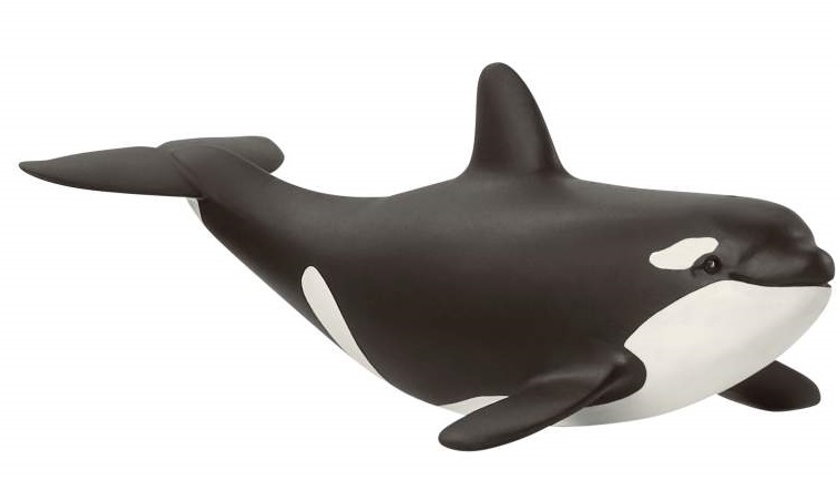 Figurina - Baby Killer Whale | Schleich