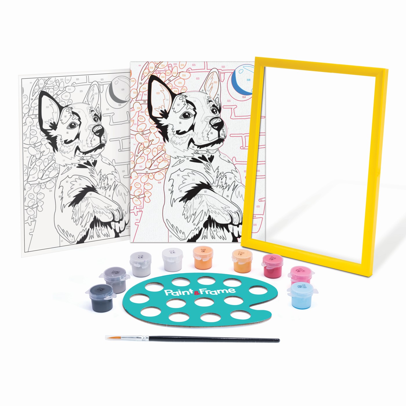 Set pictura - Paint & Frame - Husky jucaus | As