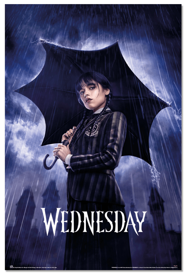 Poster - Wednesday Umbrella